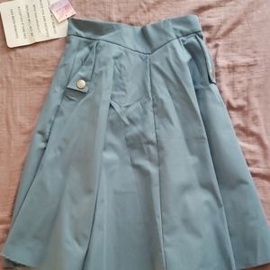 Classic Simplicity A-Line Midi Skirt in size XL